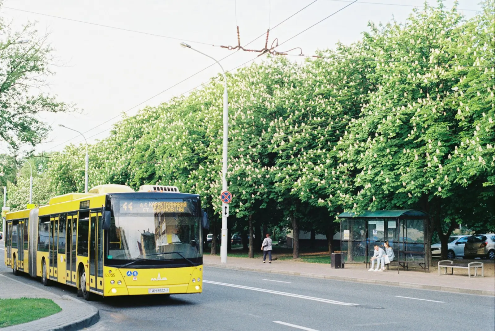 transport in Tbilisi - bus