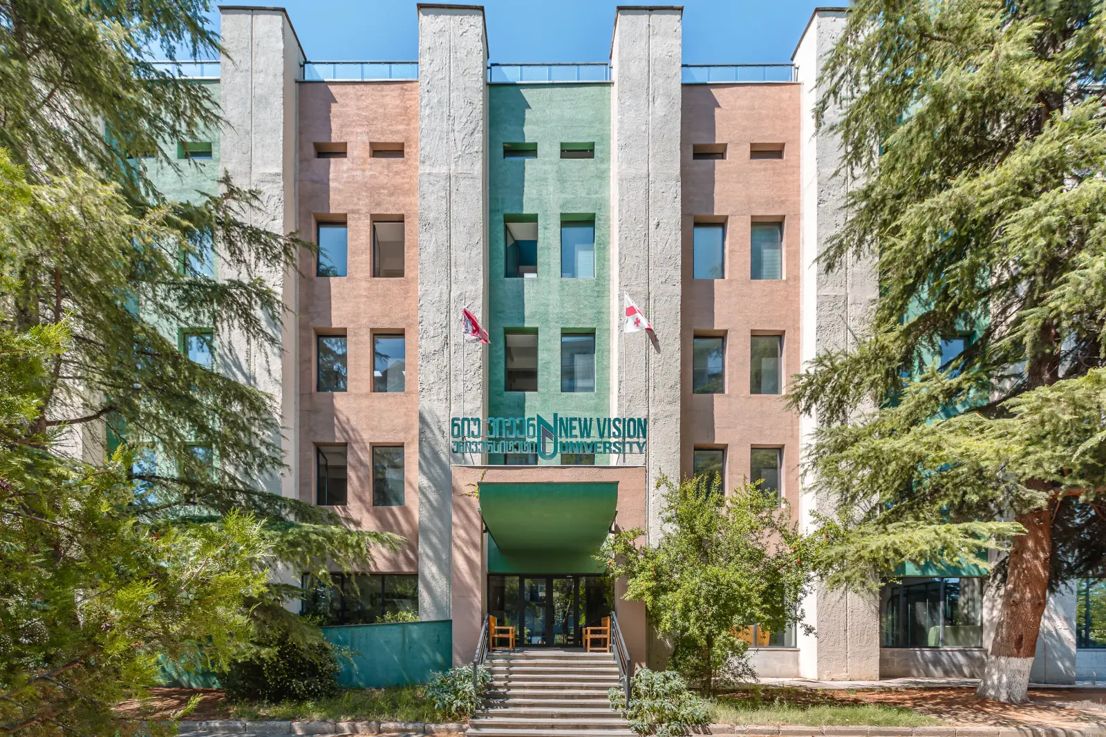 new vision university in Tbilisi